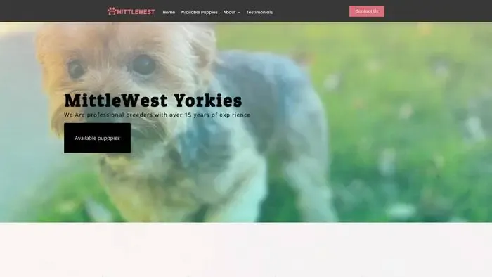 Screenshot of