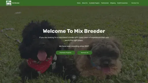 Screenshot of