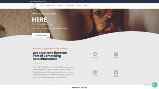 Screenshot of