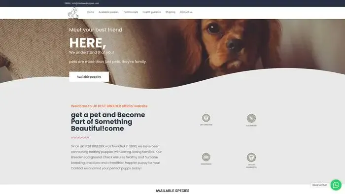Screenshot of