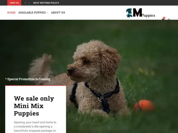 Screenshot of