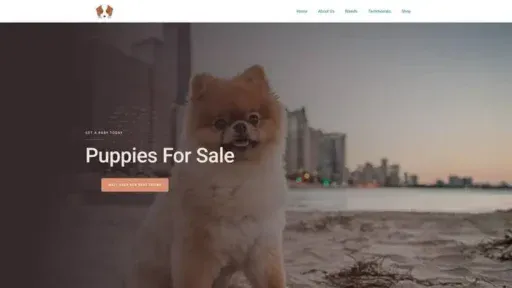 Screenshot of