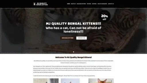 Screenshot of