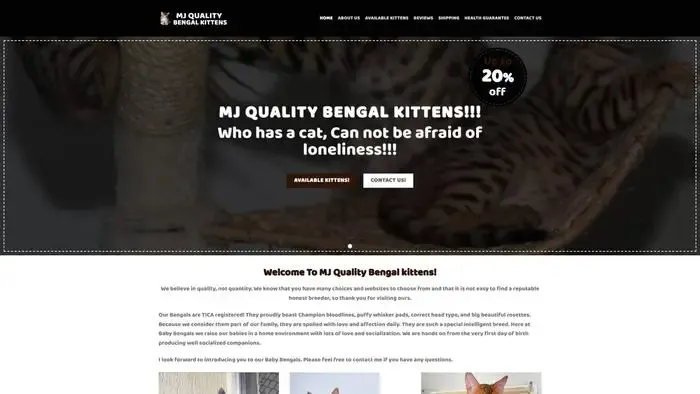 Screenshot of