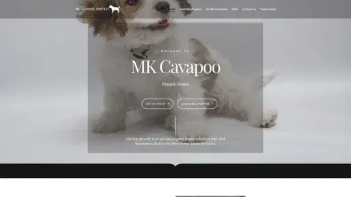 Screenshot of