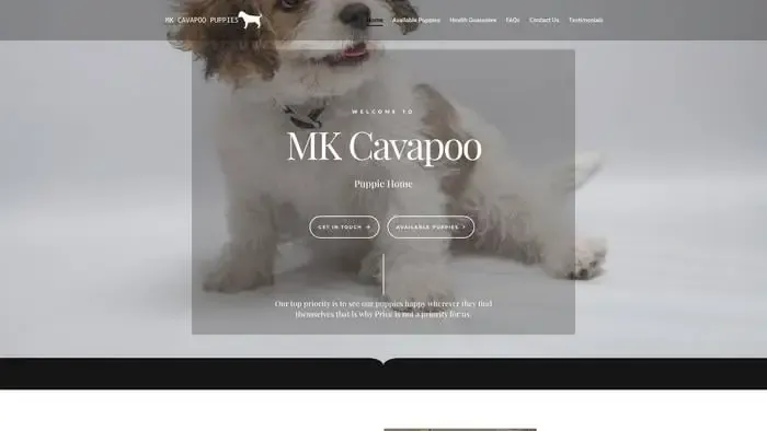 Screenshot of
