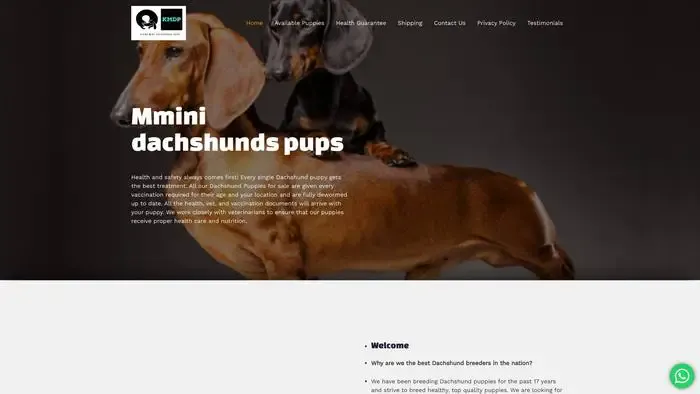 Screenshot of
