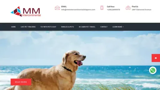 Screenshot of|
