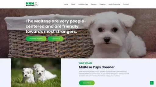 Screenshot of