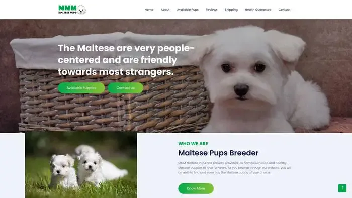 Screenshot of