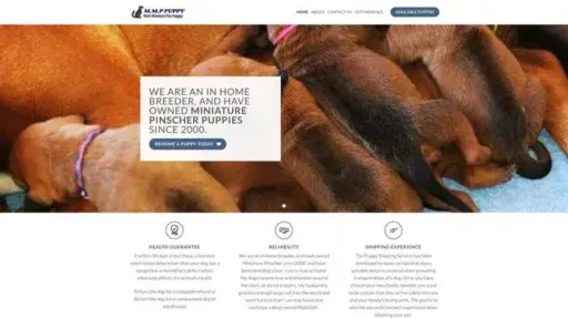 Screenshot of