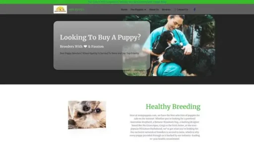 Screenshot of