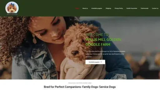 Screenshot of