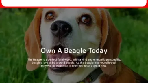 Screenshot of