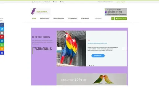 Screenshot of