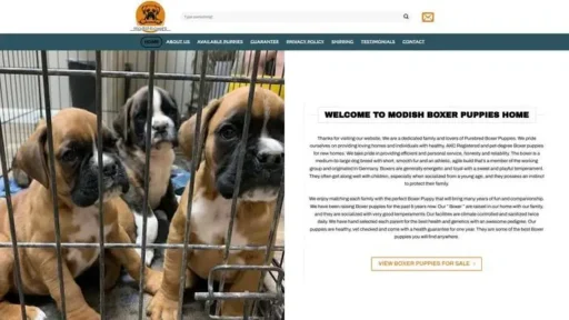 Screenshot of