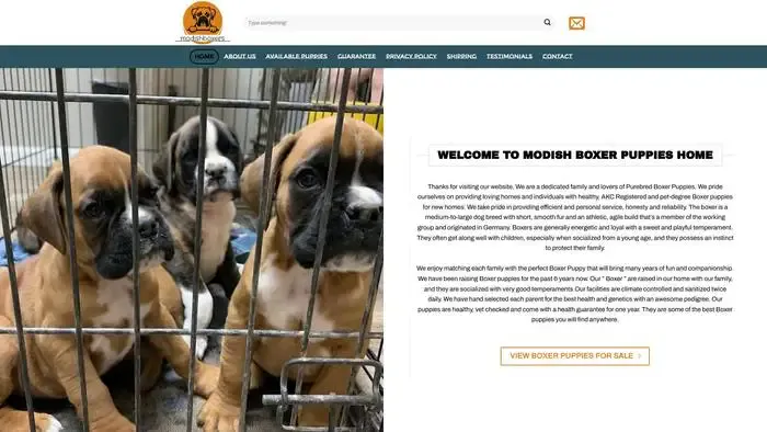 Screenshot of