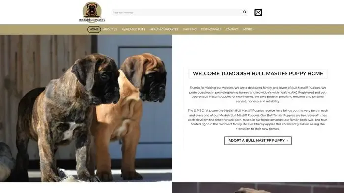 Screenshot of