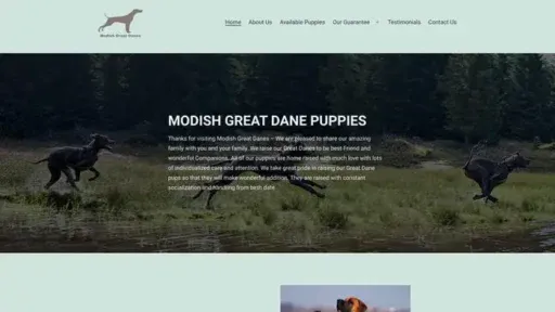 Screenshot of