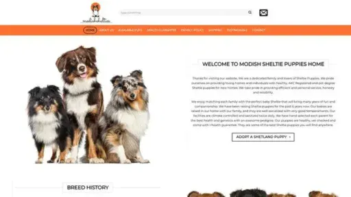 Screenshot of