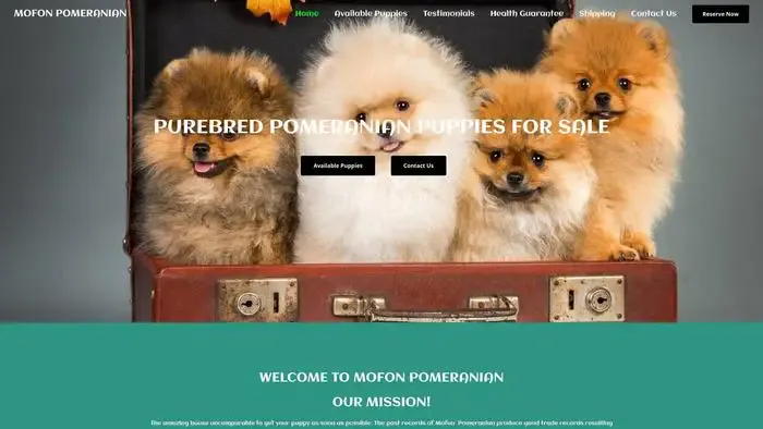 Screenshot of
