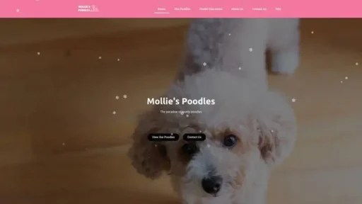 Screenshot of