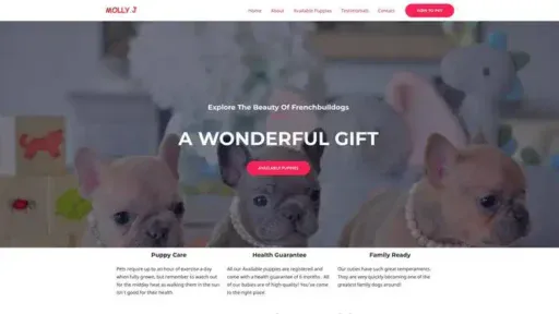 Screenshot of
