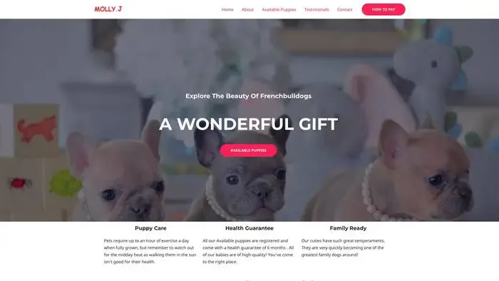 Screenshot of
