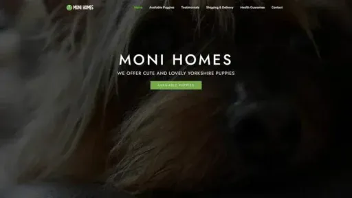 Screenshot of|