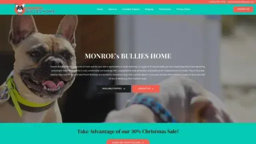 Screenshot of