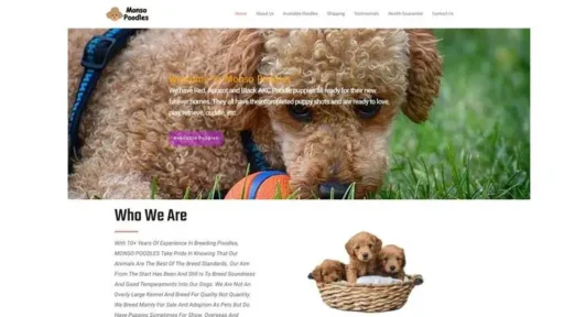 Screenshot of