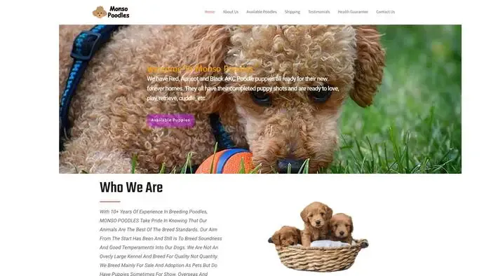 Screenshot of