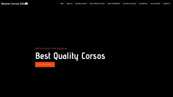 Screenshot of