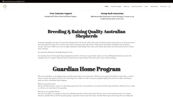 Screenshot of