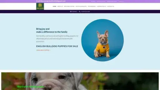 Screenshot of