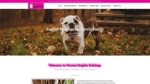 Screenshot of