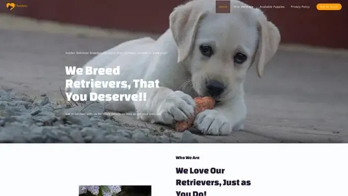 Screenshot of