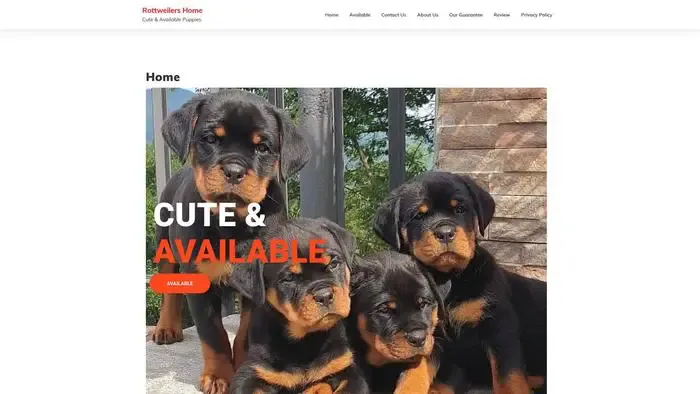 Screenshot of