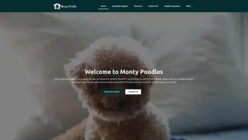 Screenshot of