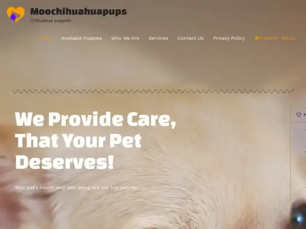 Screenshot of