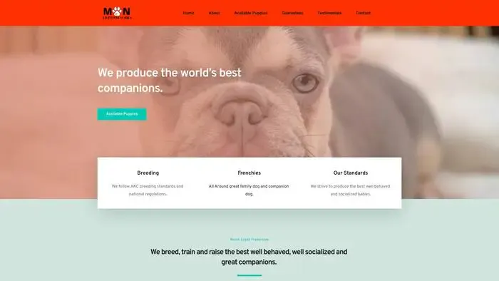 Screenshot of