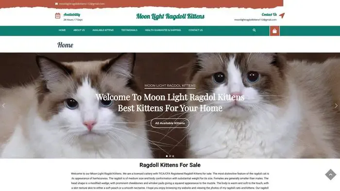 Screenshot of