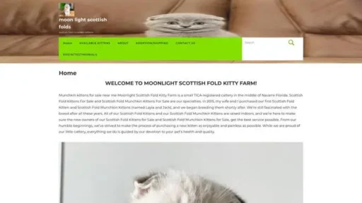 Screenshot of