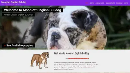 Screenshot of