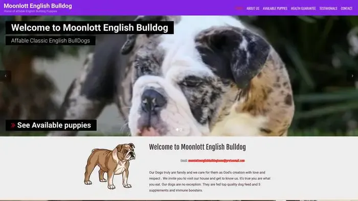 Screenshot of