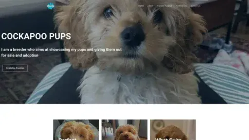 Screenshot of