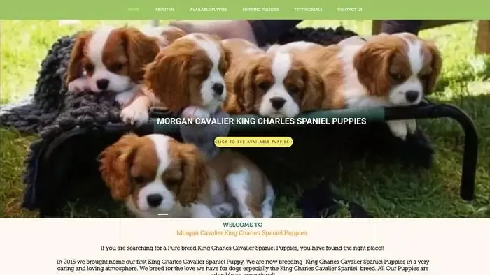 Screenshot of
