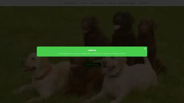 Screenshot of