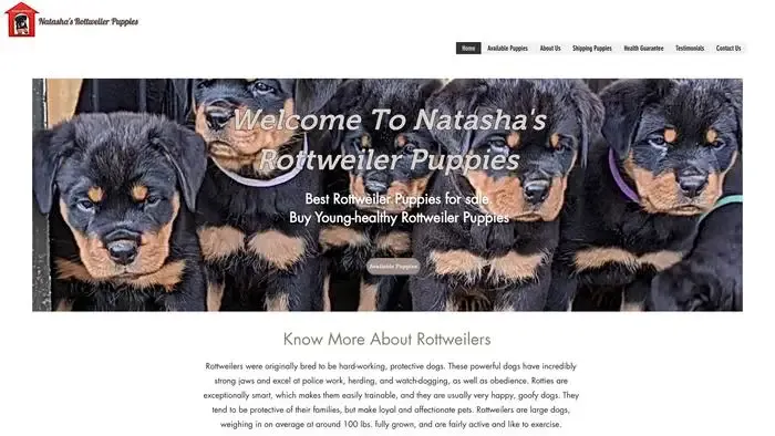 Screenshot of