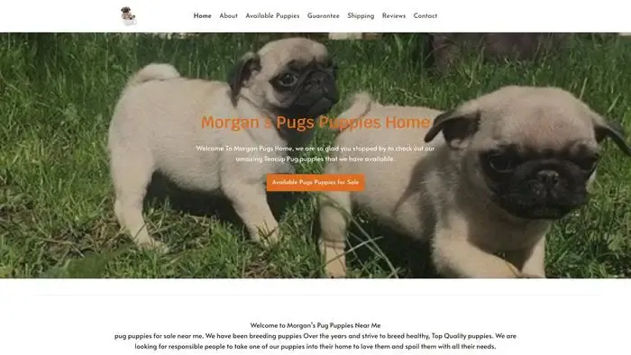 Screenshot of
